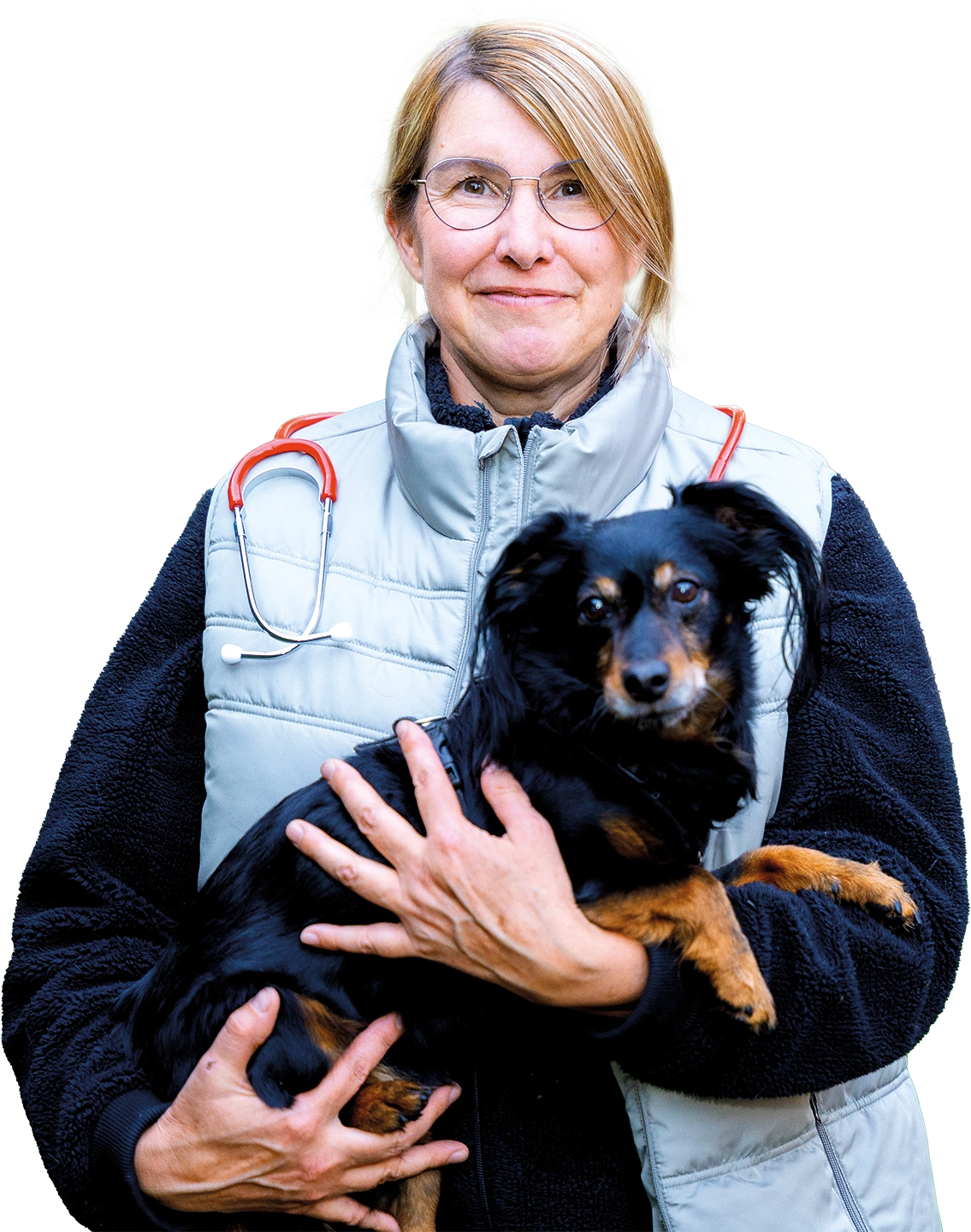 Tierarztpraxis für Kleintiere in Isenbüttel - Dr. med. vet. C. Koch Team